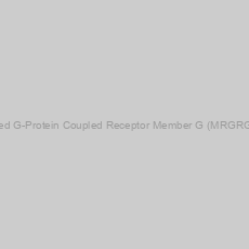 Image of Mas-Related G-Protein Coupled Receptor Member G (MRGRG) Antibody